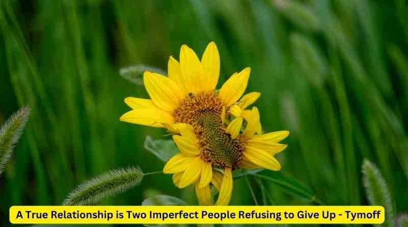 _A True Relationship is Two Imperfect People Refusing to Give Up - Tymoff Nurturing Imperfections in Love