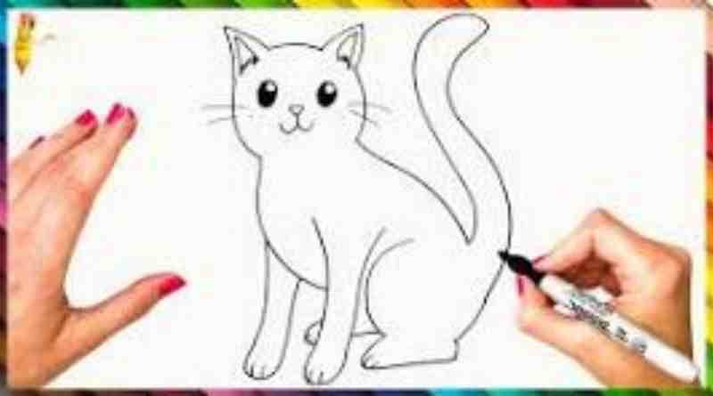 Drawing: A4Z_-YMTKR8= Cat